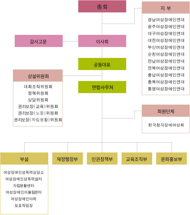 총회 산하에 이사회, 감사고문,지부(경남여성장애인연대, 광주여성장애인연대, 대구여성장애인연대, 대전여성장애인연대, 부산여성장애인연대, 순천여성장애인연대, 전남여성장애인연대, 전북여성장애인연대, 충남여성장애인연대, 충북여성장애인연대, 통영여성장애인연대)가 있고 아래로 공동대표, 연합사무국, 상설위원회(교육위원회, 대회조직위원회, 정책위원회, 자립생활위원회, 상담위원회), 회원단체(한국청각장애여성회)가 있고 연합사무국 산하에 재정행정부, 인권정책부, 교육조직부, 문화홍보부 그리고 부설로 여성장애인성폭력상담소, 여성장애인성폭력쉼터, 자립생활센터, 여성장애인어울림센터, 여성장애인야학, 보호작업장이 있습니다.