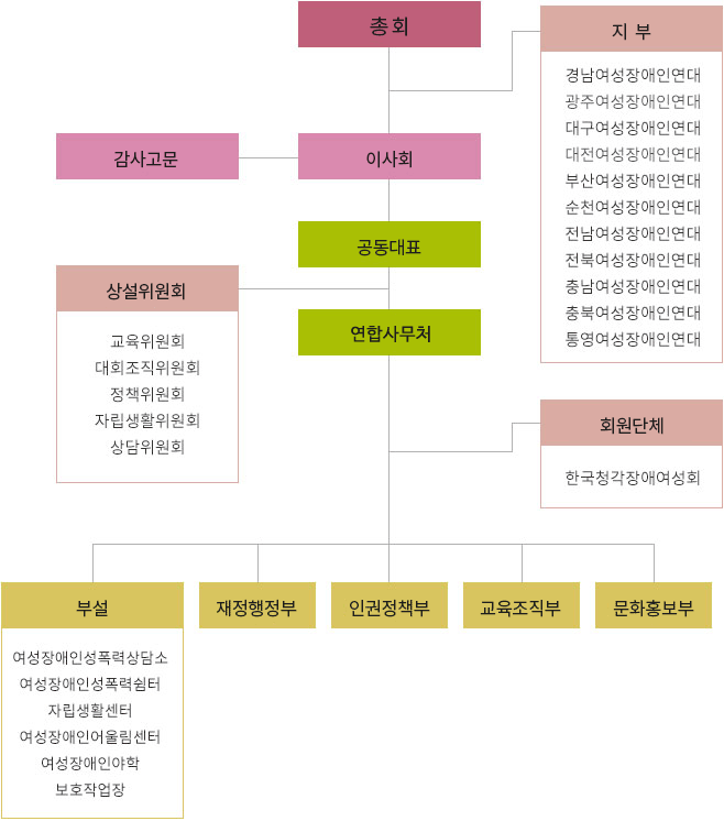 총회 산하에 이사회, 감사고문,지부(경남여성장애인연대, 광주여성장애인연대, 대구여성장애인연대, 대전여성장애인연대, 부산여성장애인연대, 순천여성장애인연대, 전남여성장애인연대, 전북여성장애인연대, 충남여성장애인연대, 충북여성장애인연대, 통영여성장애인연대)가 있고 아래로 공동대표, 연합사무국, 상설위원회(교육위원회, 대회조직위원회, 정책위원회, 자립생활위원회, 상담위원회), 회원단체(한국청각장애여성회)가 있고 연합사무국 산하에 재정행정부, 인권정책부, 교육조직부, 문화홍보부 그리고 부설로 여성장애인성폭력상담소, 여성장애인성폭력쉼터, 자립생활센터, 여성장애인어울림센터, 여성장애인야학, 보호작업장이 있습니다.
